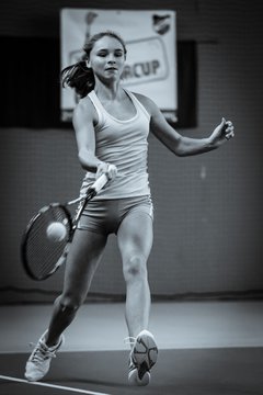 Ausschnitte 3599 - Holmer Indoor Cup